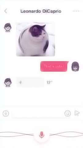 ddos免费测试